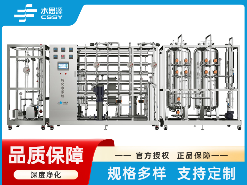 纯化水制备系统